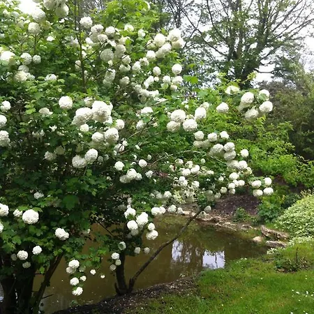 Les Chambres De L'abbaye *